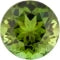 Green tourmaline